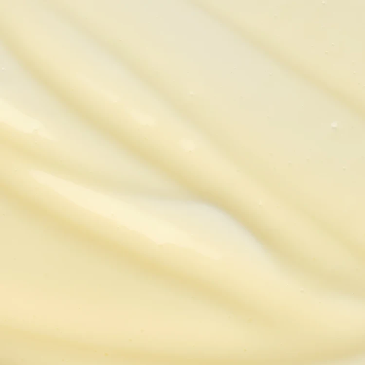 CZ_8004608522386_2.webp
